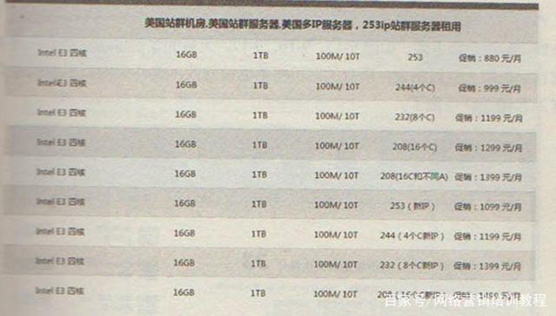 SEO站群的风向：如何在竞争中立于不败之地？
